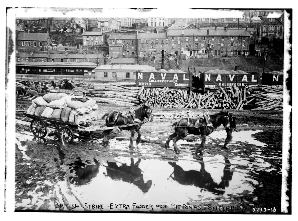 British strike - extra fodder for pit ponies, Pontypridd (i.e. Tonypandy & Trealaw railway station, Trealaw) LCCN2014690348