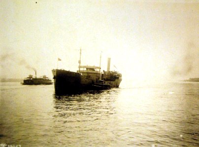 British Transport Norfolk docking at Pier 38 in 1919 (32916845466) photo