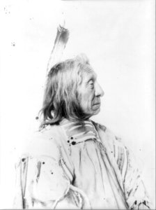 Chief Red Cloud LCCN2004674599 photo