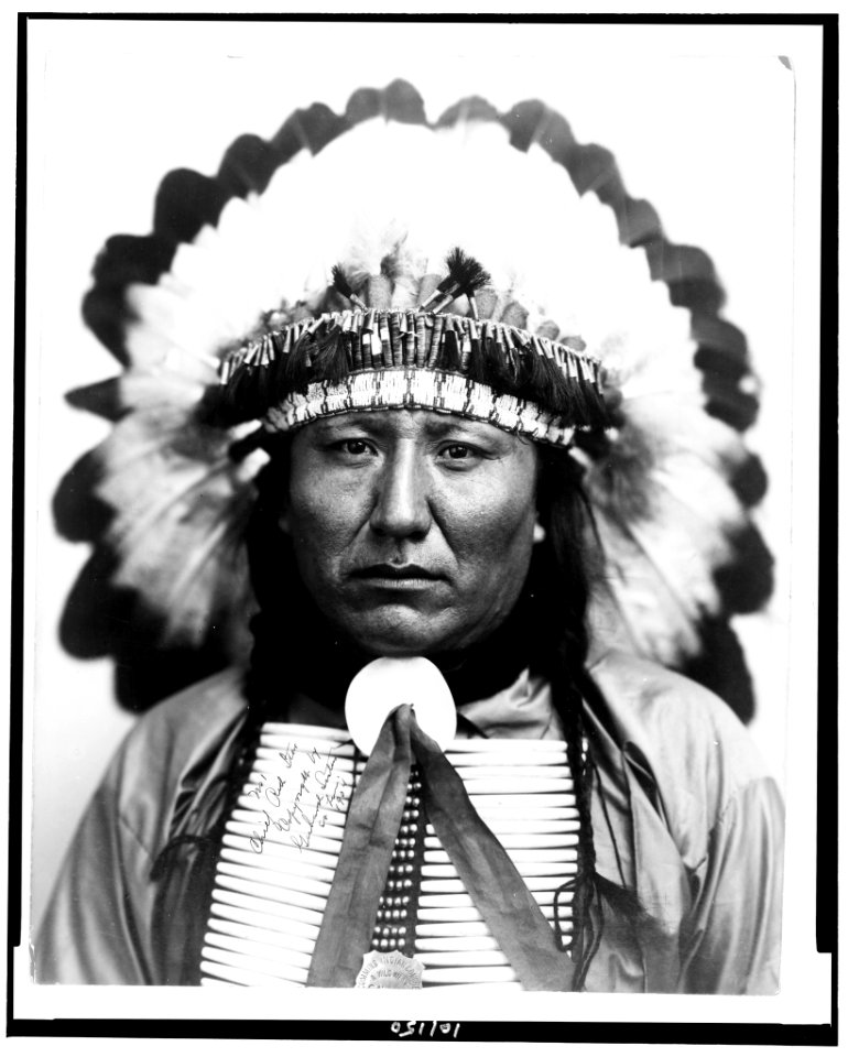 Chief Red Star LCCN90710100