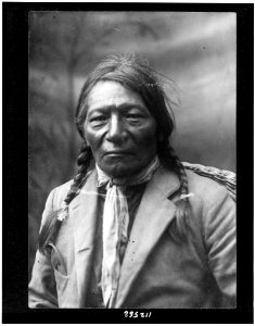 Chief White Crow - Samuels & Mays, Meeker, Colo. LCCN95500501