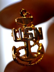 Chief Pinning DVIDS117419