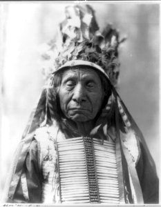 Chief Red Cloud LCCN2007683118