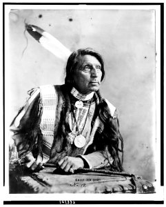 Chief Red Shirt LCCN90710797