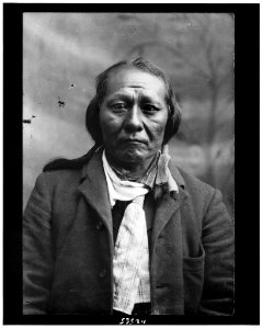 Chief Seglo - Samuels & Mays, Meeker, Colo. LCCN94516034