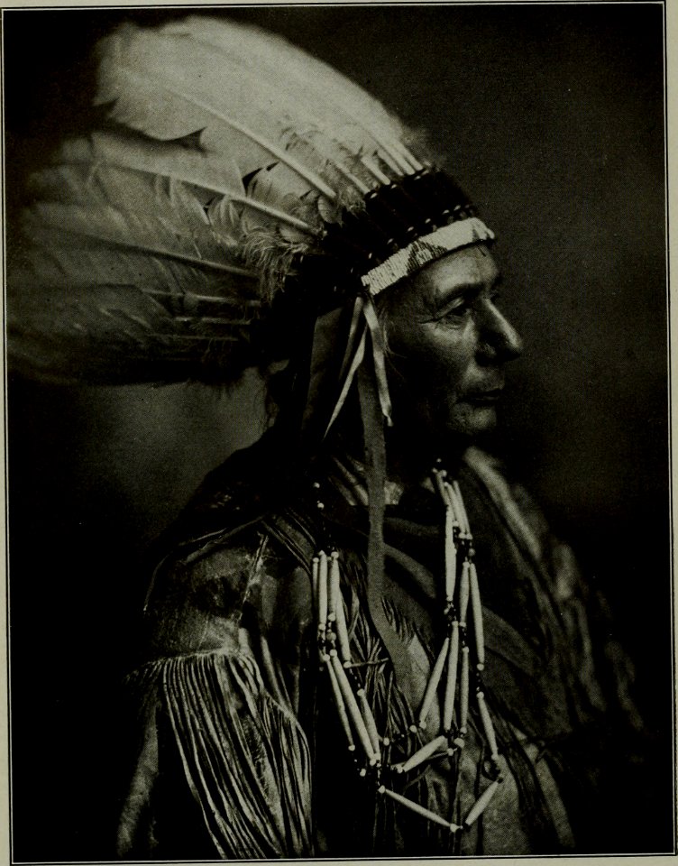 Chief Split Sky, Cayuga Tribe, by George D Jopson