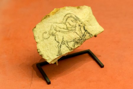 Chien chassant un bouquetin - Louvre - E 14341