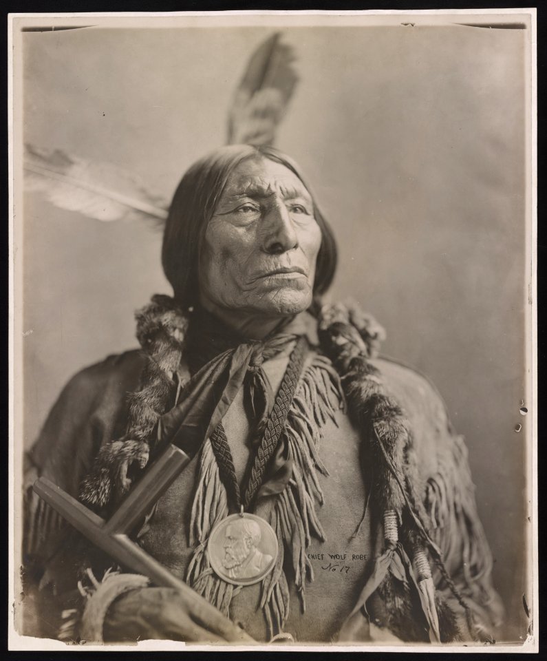 Chief Wolf Robe LCCN2011647022