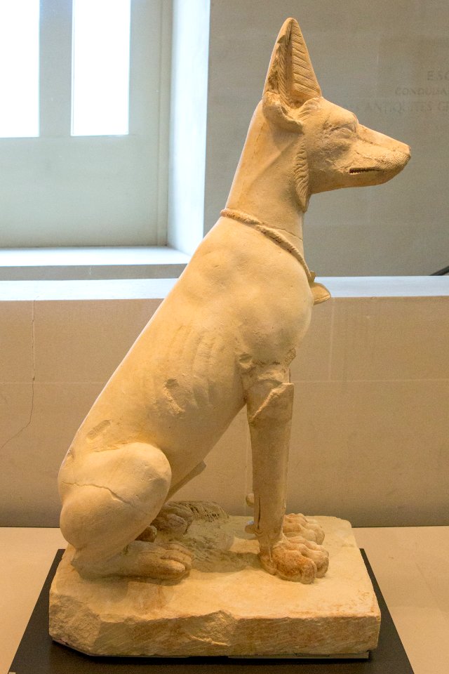Chien d'Assiout - Louvre - E 11657 - 01