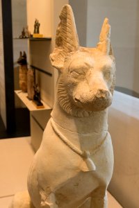 Chien d'Assiout - Louvre - E 11657 - 03