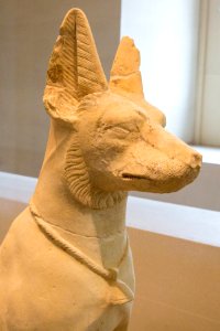 Chien d'Assiout - Louvre - E 11657 - 02