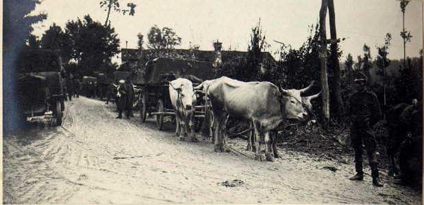 Chiesola, Transport von Ponto ns zum Brückenbau. (BildID 15669771)