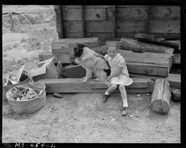 Child of miner and her dog. Utah Fuel Company, Sunnyside Mine, Sunnyside, Carbon County, Utah. - NARA - 540422 photo