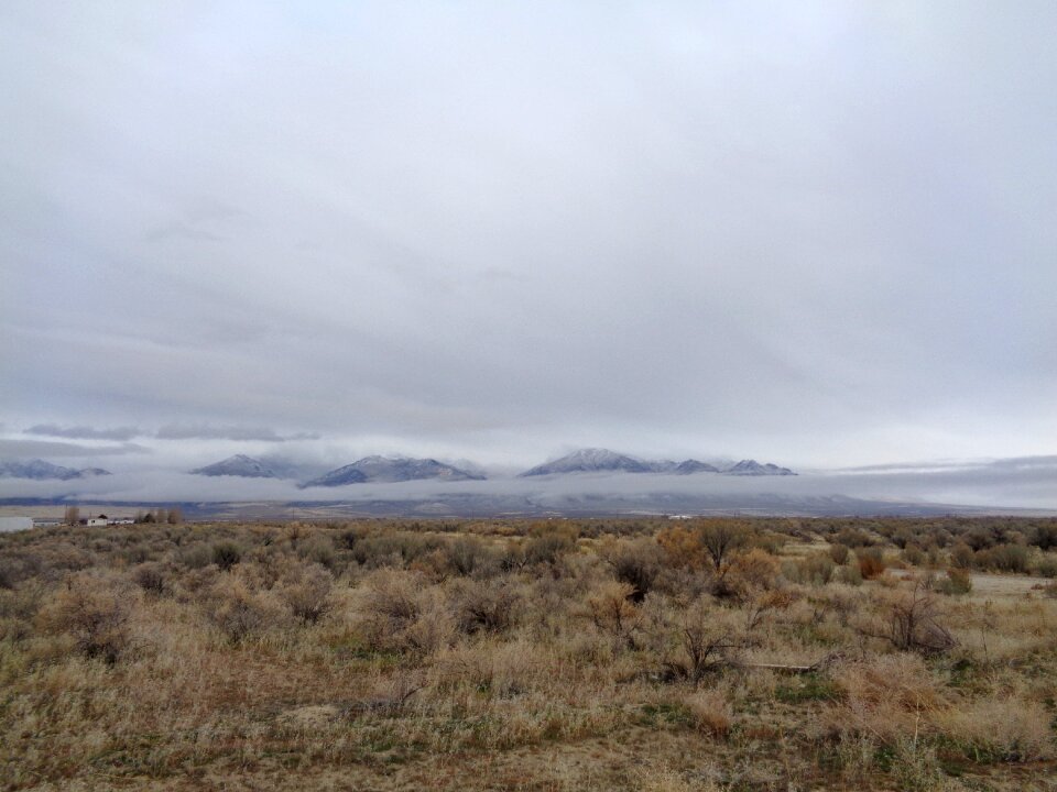 Nature wilderness blue desert