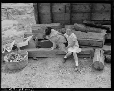 Child of miner and her dog. Utah Fuel Company, Sunnyside Mine, Sunnyside, Carbon County, Utah. - NARA - 540422 photo