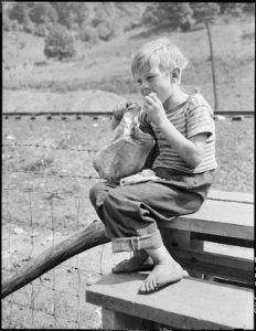 Child of miner eating lunch on schoolhouse grounds. Kentucky Straight Creek Coal Company, Belva Mine, abandoned after... - NARA - 541235