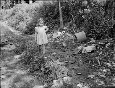 Child of miner walks down the road. This is all the street there is, there are no garbage collections and trash and... - NARA - 541041 photo