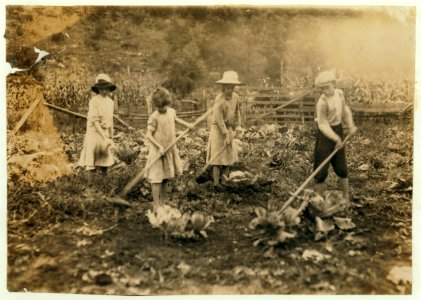 Children hoeing on farm near Mt. Vernon, Ky. Go to Mt. Vernon Graded School. Mamie, 7 years, Grace, 9 years, Marguerite, 12 years and Everett 14 years. Father, Alfred Bryant, Mt. Vernon P.O. LOC nclc.00472