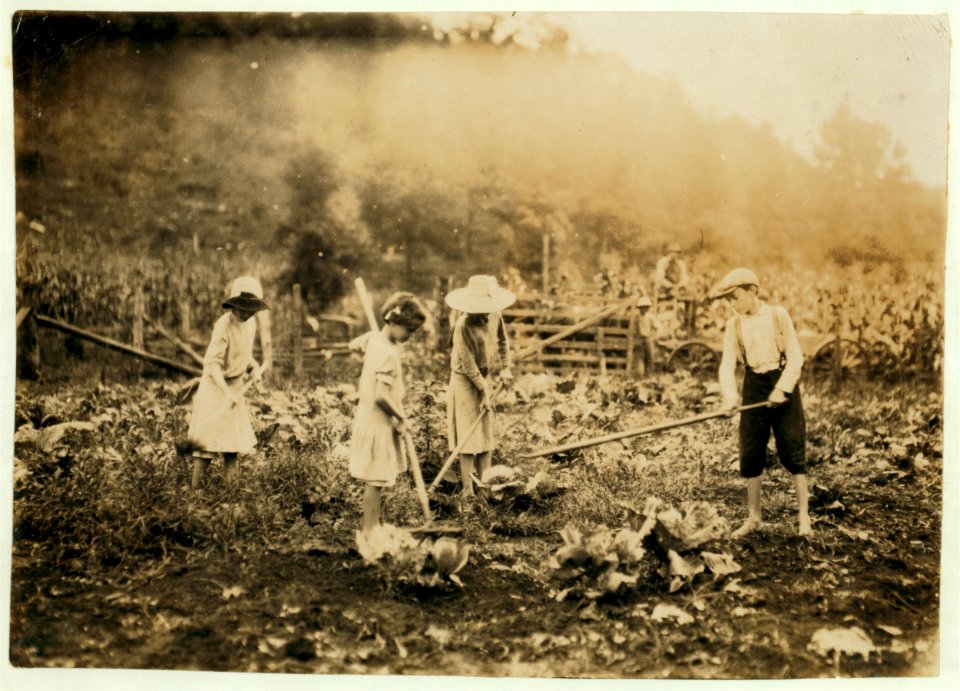 Children hoeing on farm near Mt. Vernon, Ky. Go to Mt. Vernon Graded School. Mamie, 7 years, Grace, 9 years, Marguerite, 12 years and Everett, 14 years. Father, Alfred Bryant, Mt. Vernon LOC nclc.00473
