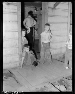 Children of John M. McPhie on front porch of their home in company housing project. Utah Fuel Company, Castle Gate... - NARA - 540546