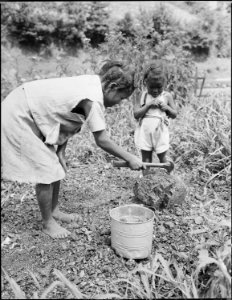 Children of Lawson Mayo break up coal for the kitchen range. Mullens Smokeless Coal Company, Mullens Mine, Harmco... - NARA - 540973
