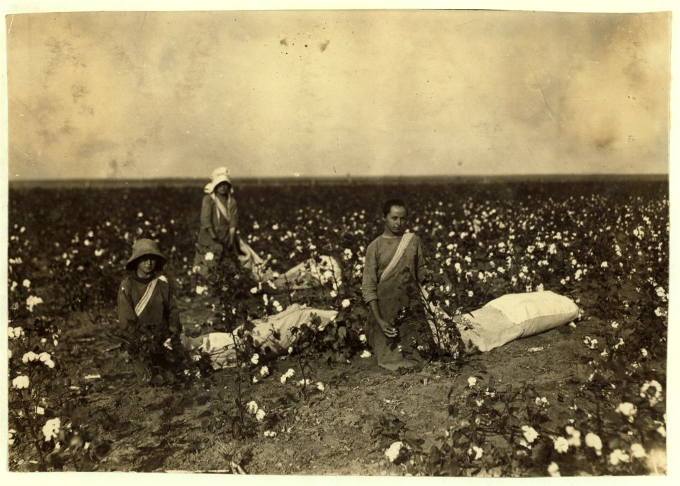 Children of Mrs. Lawrence, a renter near Tinney, Okla. They go to Prairie Lee School. Beula is 13 years old and picks about 200 pounds a day when cotton is good. She drags and carries a bag LOC nclc.00604