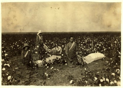 Children of Mrs. Lawrence, a renter near Tinney, Okla. They go to Prairie Lee School. Beula is 13 years old and picks about 200 pounds a day when cotton is good. She drags and carries a bag LOC nclc.00604