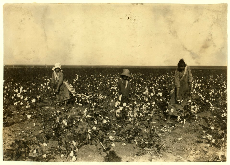 Children of Mrs. Lawrence, a renter near Tinney, Okla. They go to Prairie Lee School. Beula is 13 years old and picks about 200 pounds a day when cotton is good. She drags and carries a bag LOC nclc.00606