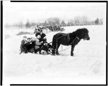 Children on a pony-drawn sled LCCN95506267