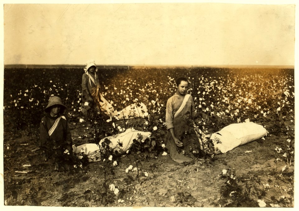 Children of Mrs. Lawrence, a renter near Tinney, Okla. They go to Prairie Lee School. Beula is 13 years old and picks about 200 pounds a day when cotton is good. She drags and carries a bag LOC nclc.00605