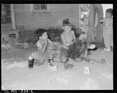 Children of Sam Lontine, miner, playing with their dog. Puritan Camp, Erie, Colorado. - NARA - 540362