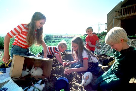 Children playing photo