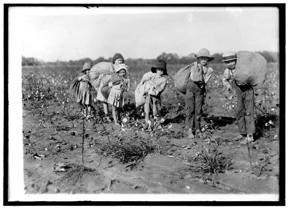 Children picking cotton LCCN2016821056