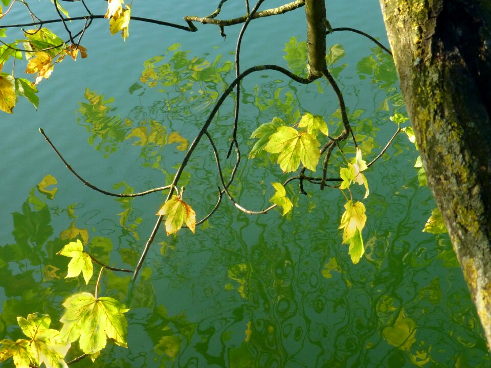 Mirroring lake colorful leaves