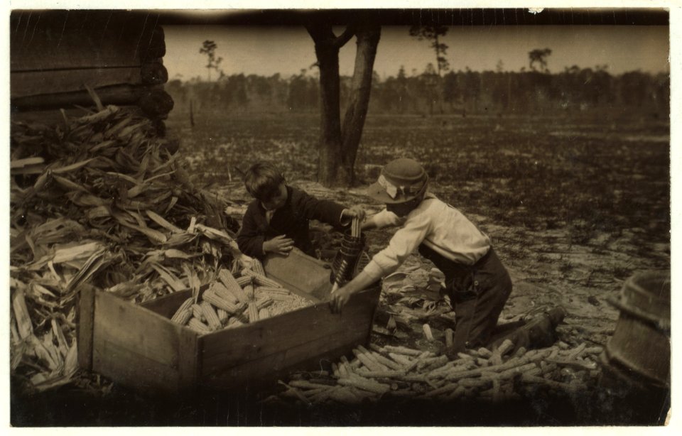 Children thrashing corn during school hours on a farm near Dublin. Many such light occupations fall to the lot of the Georgia child. LOC nclc.00246