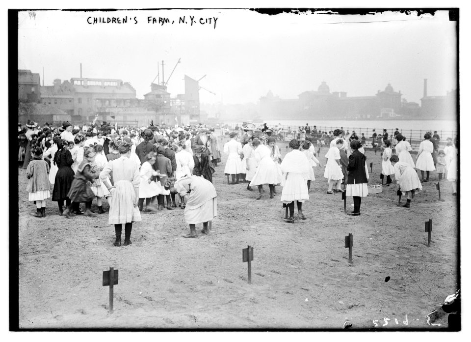 Children's Farm, N.Y.C. LCCN2014689359