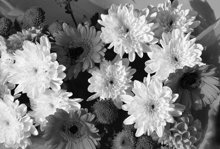 Flower foliage bouquet