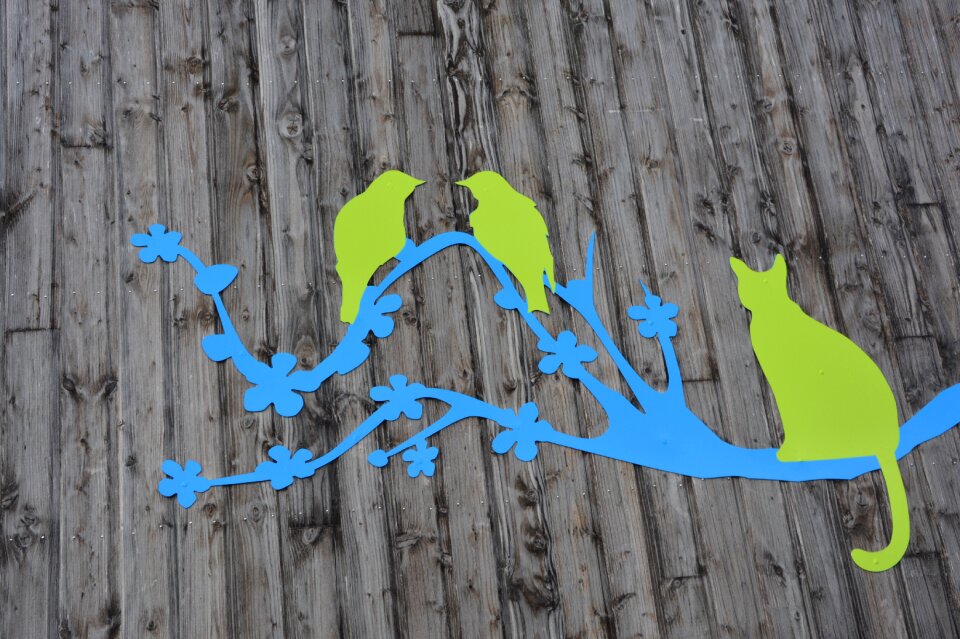 Cat branch birds