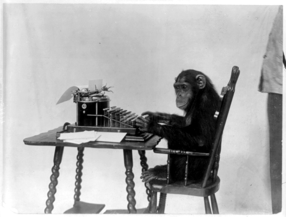 Chimpanzee seated at a typewriter photo