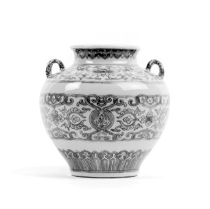 Chinese - Blue and White Jar - Walters 491120 photo