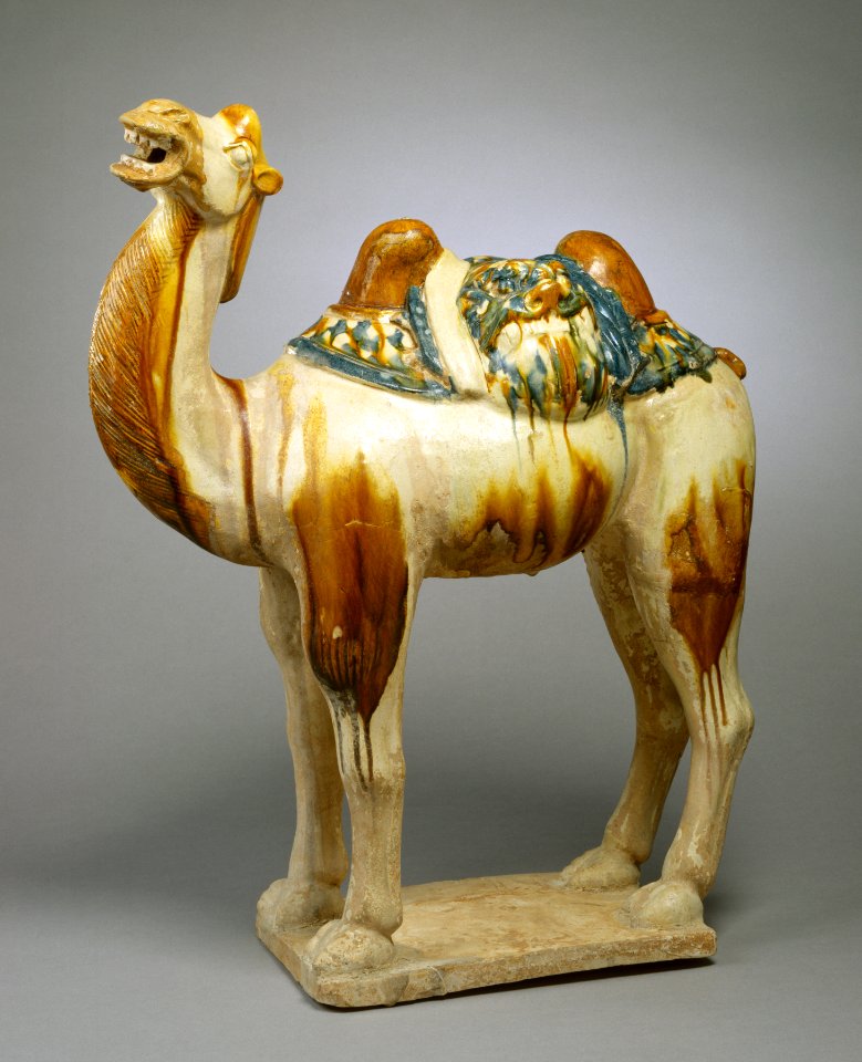 Chinese - Camel - Walters 492383 - Profile