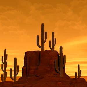 Sand nature arizona