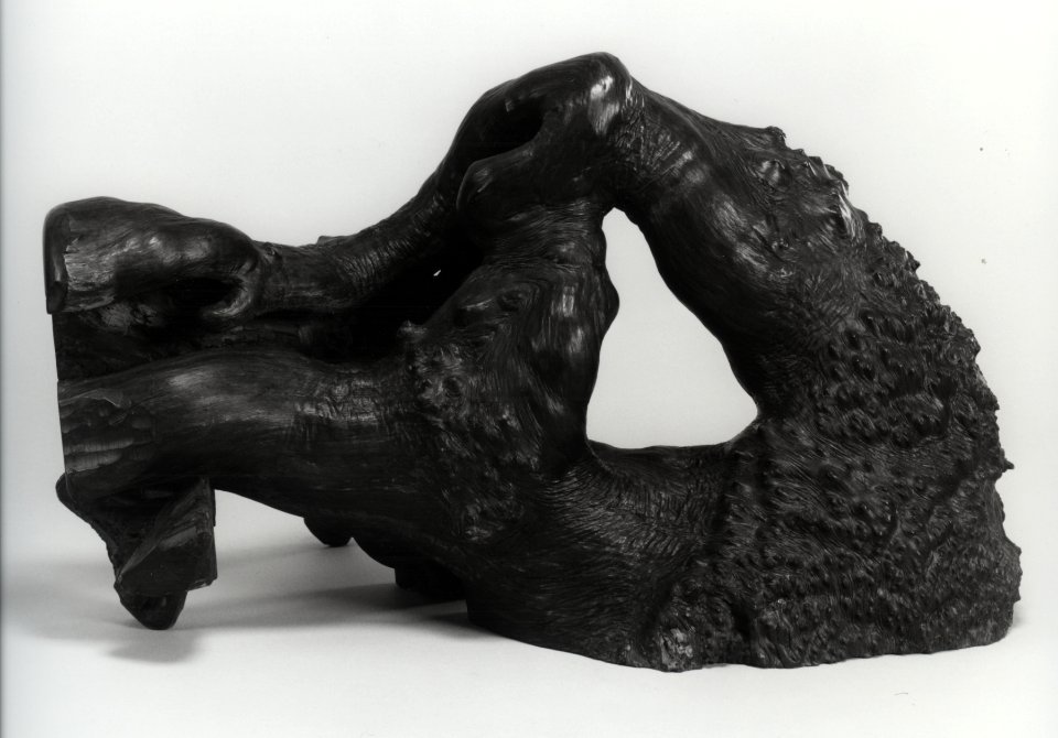 Chinese - Ornamental Root - Walters 61336 - Three Quarter