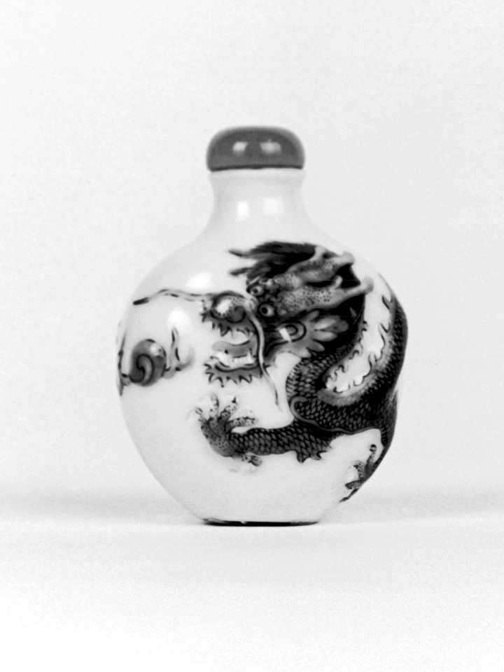 Chinese - Snuff Bottle with Dragon - Walters 4997-p