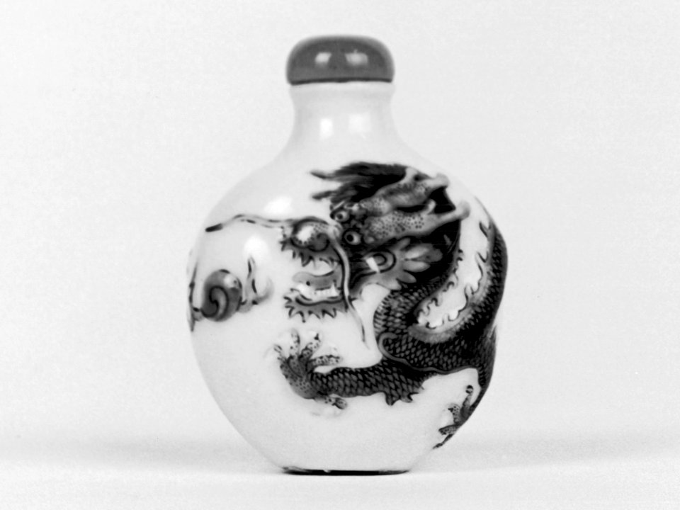 Chinese - Snuff Bottle with Dragon - Walters 4997-l