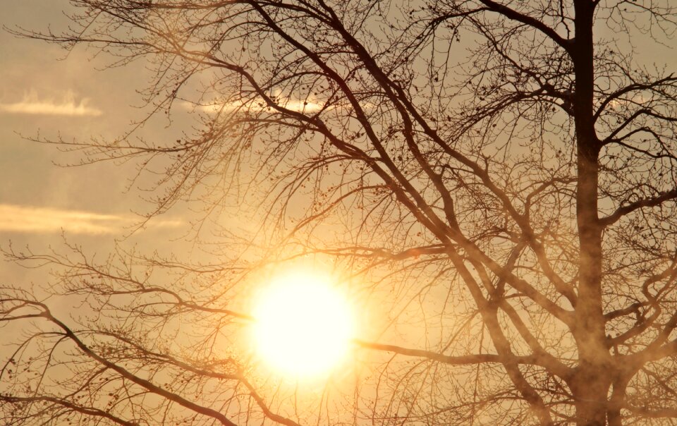 Sunrise fog morning mist