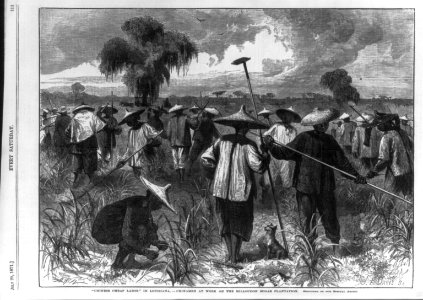 Chinese cheap labor in Louisiana - Chinamen at work on the Milloudon Sugar Plantation LCCN2004673135