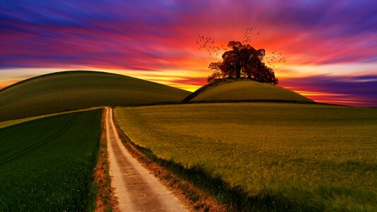 Sunset nature panorama