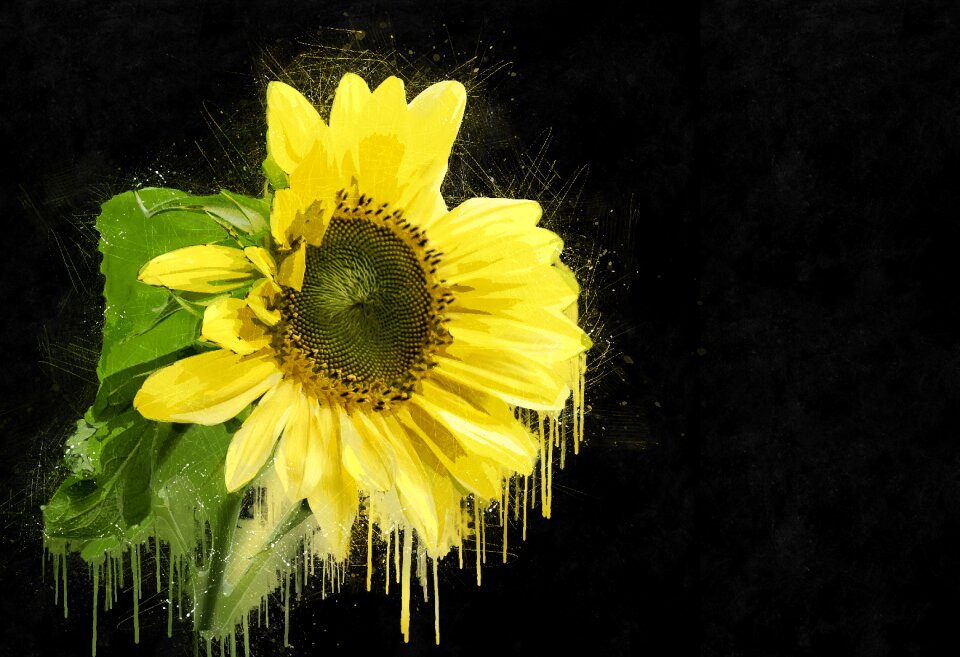 Summer nature agriculture