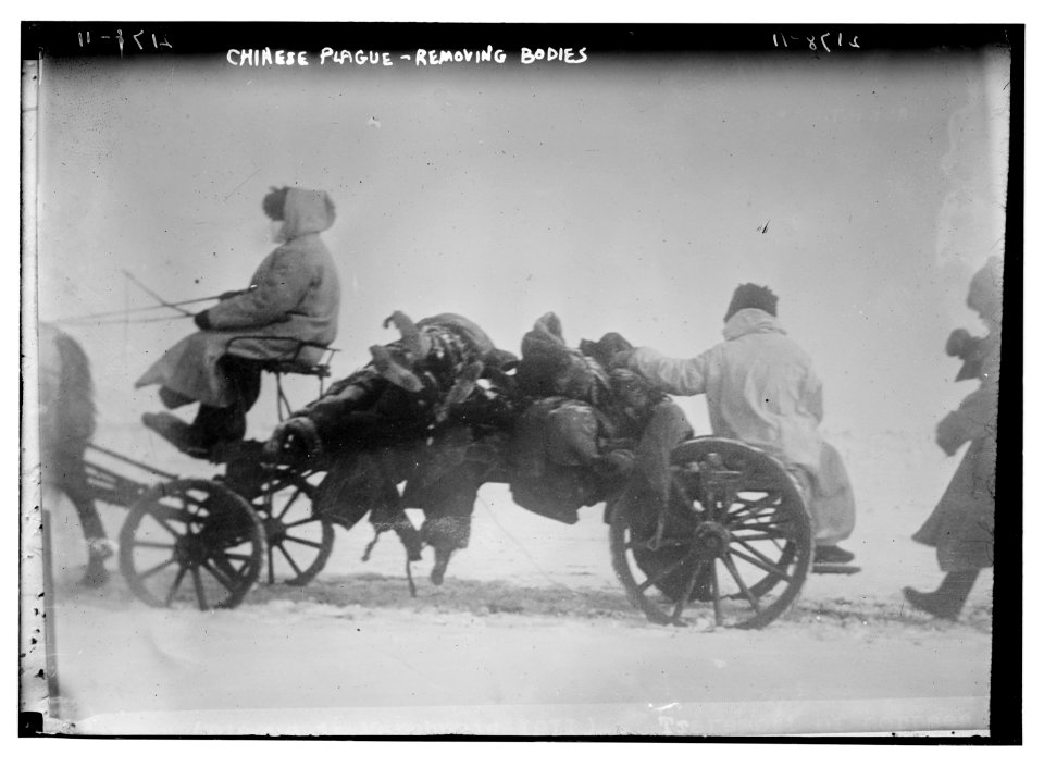 Chinese plague, removing bodies LCCN2014689079